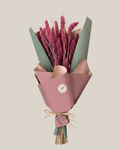 Dried Blush